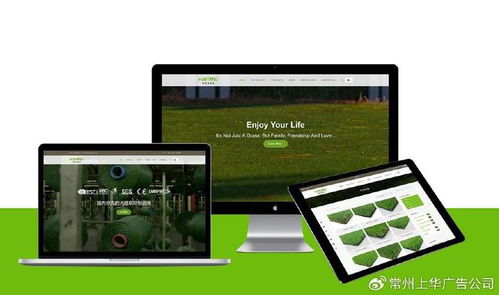 常州上華網絡公司 搭建跨境品牌橋梁，引領全球市場新浪潮